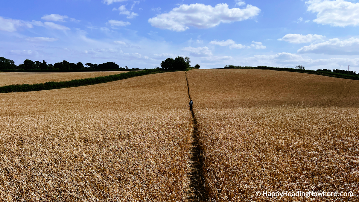 Living Authentically – Aligning Who You Are with How You Live