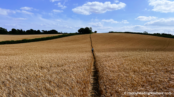 Living Authentically – Aligning Who You Are with How You Live